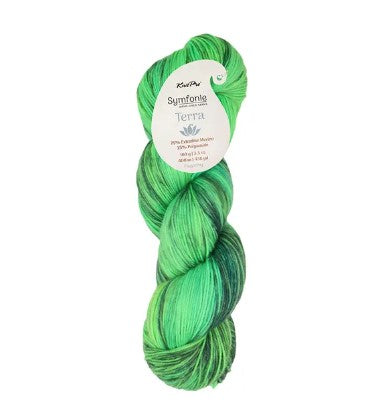 Symfonie Viva variegated - 220m/100g