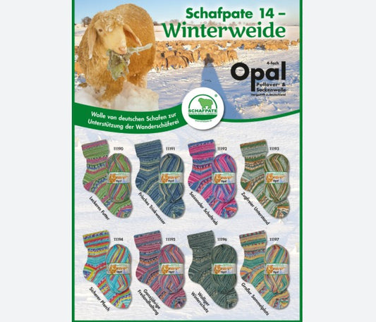 Opal Schafpate 14 Winterweide - 425m/100g